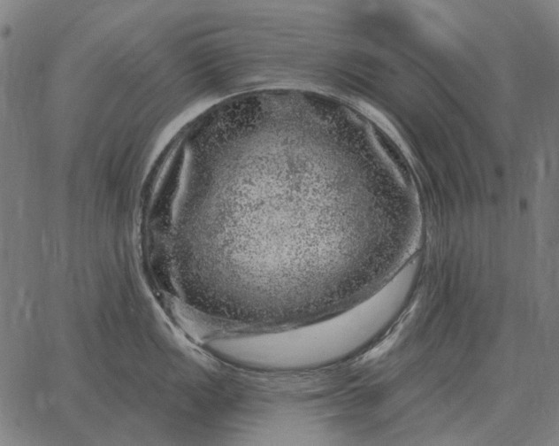 X0000065261149200603031822