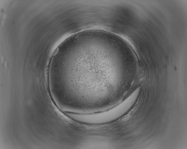 X0000065261151200603031822