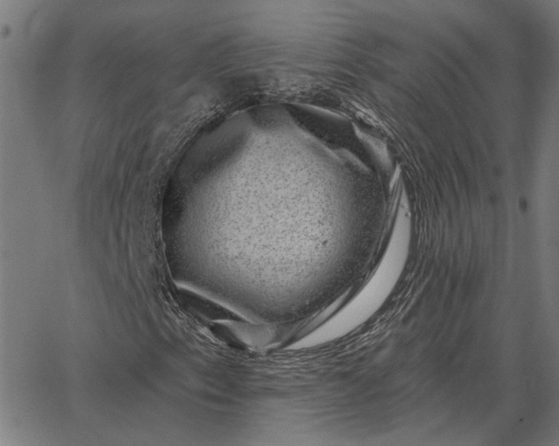 X0000065261153200603031821