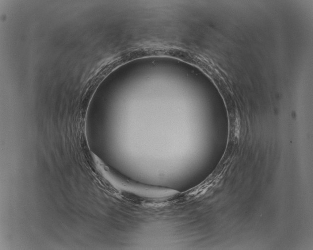 X0000065261157200603031821