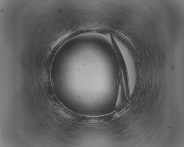 X0000065261160200603031821