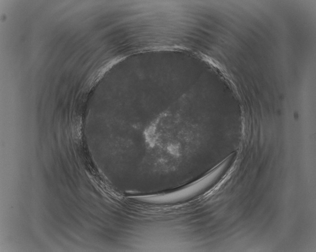 X0000065261161200603031821