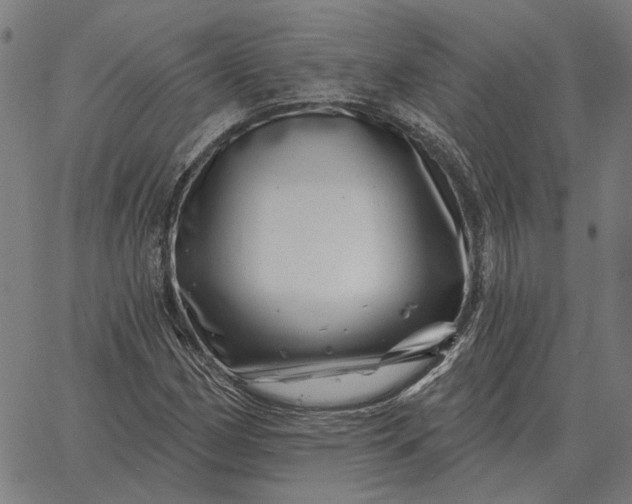 X0000065261162200603031821