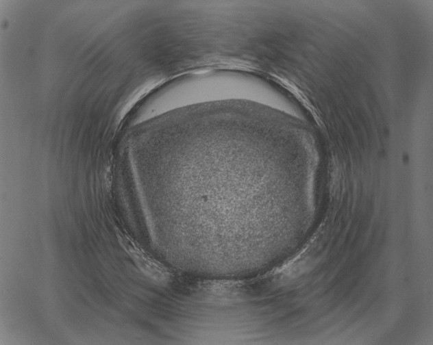 X0000065261163200603031821