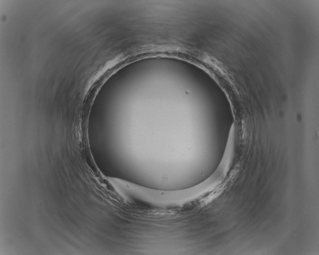 X0000065261165200603031821