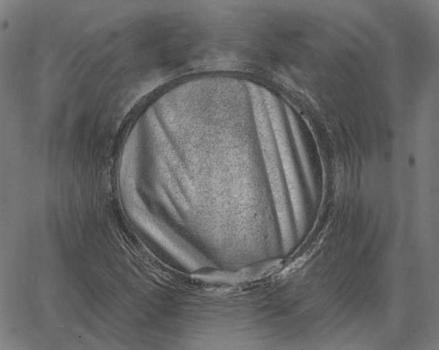 X0000065261166200603031821