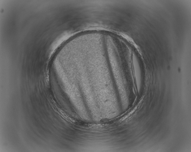 X0000065261167200603031821