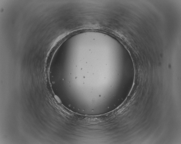 X0000065261168200603031821