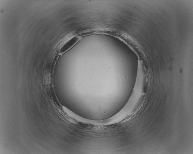 X0000065261169200603031821