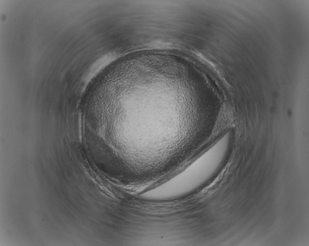 X0000065261171200603031821