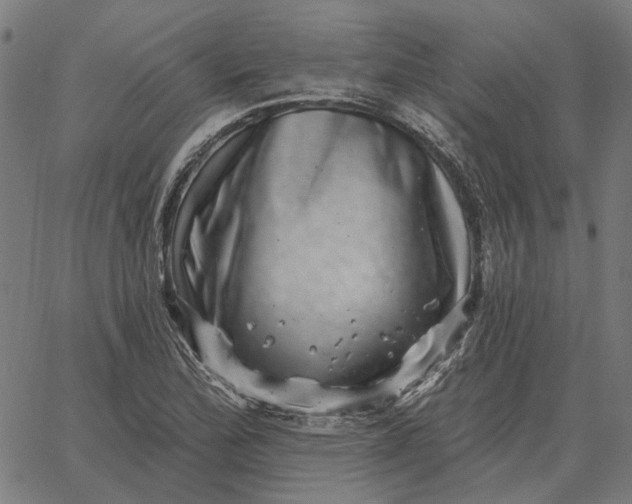 X0000065261172200603031821