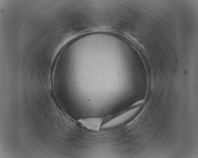 X0000065261174200603031821