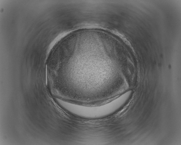 X0000065261175200603031821