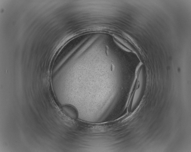 X0000065261178200603031821