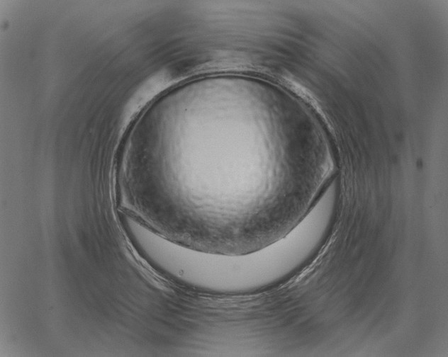 X0000065261179200603031821