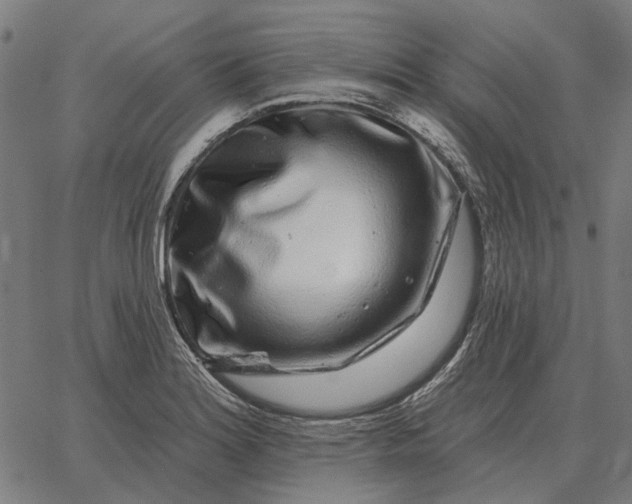 X0000065261180200603031821