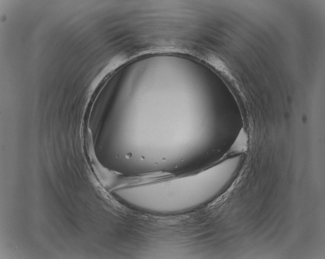 X0000065261181200603031821