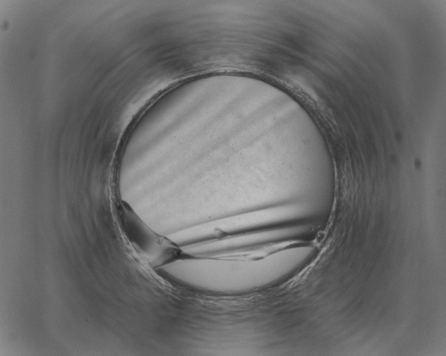 X0000065261182200603031821