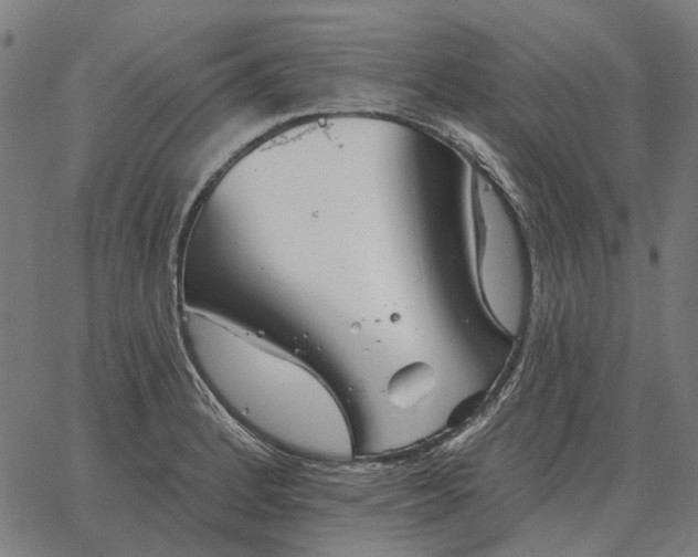 X0000065261184200603031821