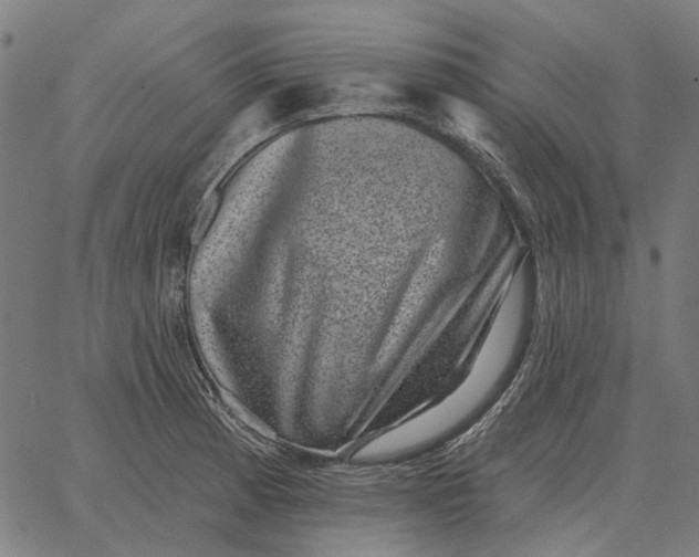 X0000065261185200603031821