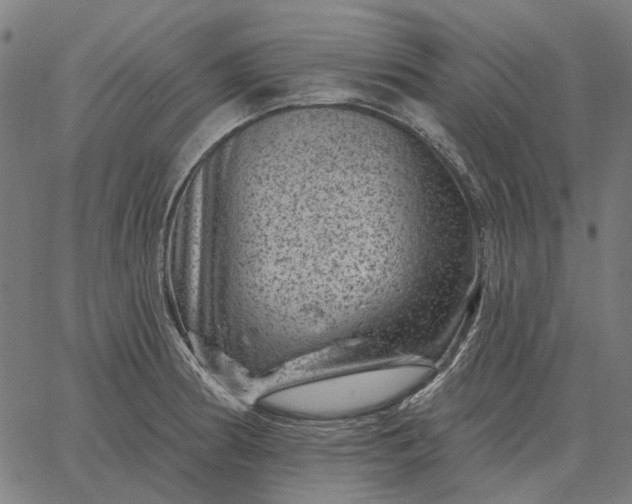 X0000065261186200603031821