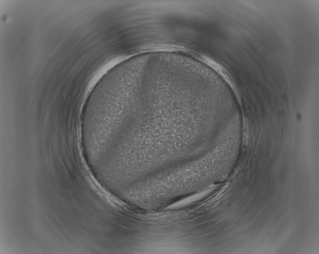 X0000065261187200603031821