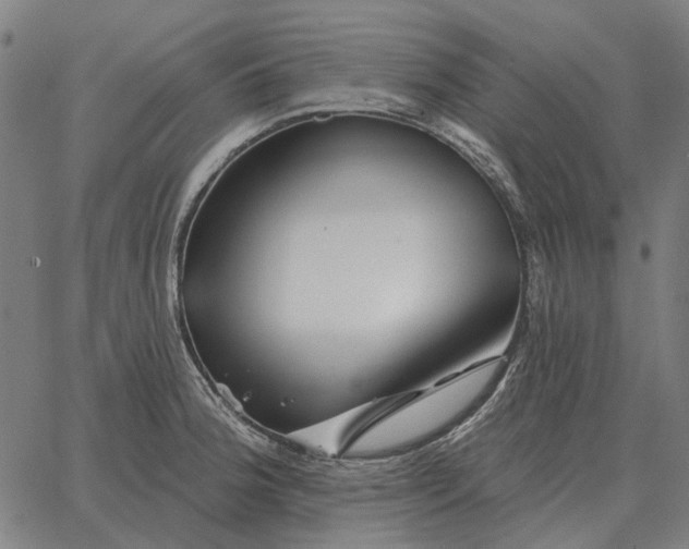 X0000065261188200603031821