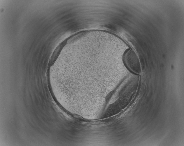 X0000065261189200603031821