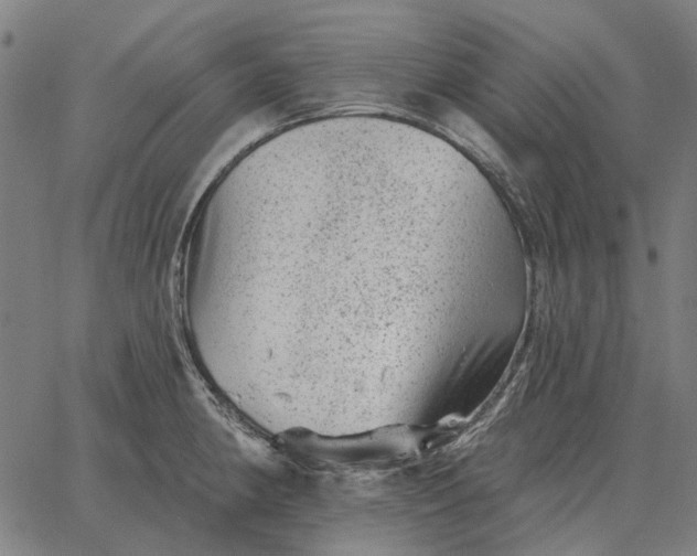 X0000065261190200603031821