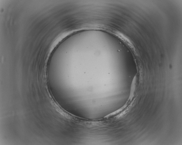 X0000065261192200603031821