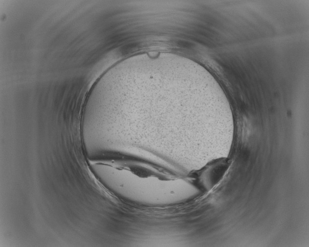 X0000065261194200603031821