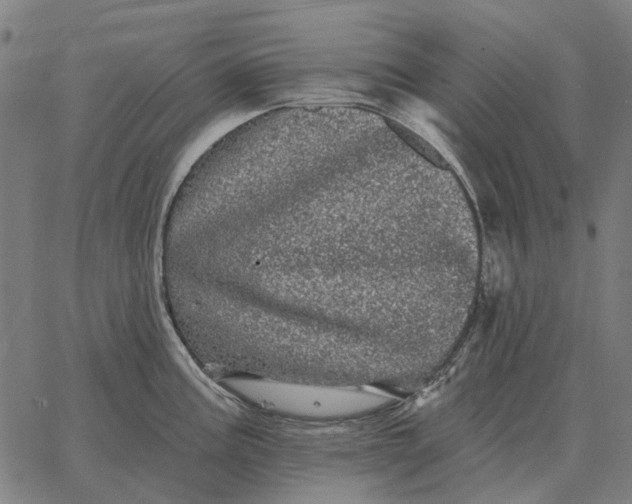 X0000065261195200603031821