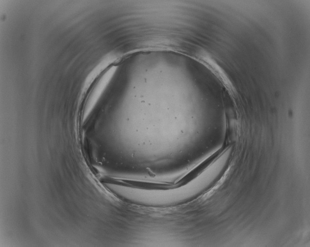 X0000065261196200603031821