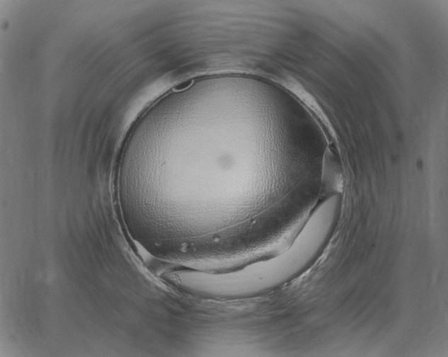 X0000065261197200603031821