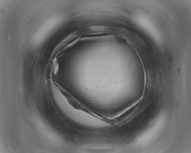 X0000065261198200603031821