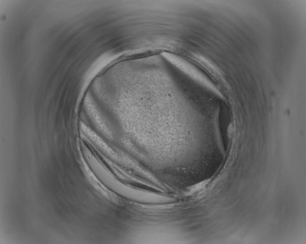 X0000065261200200603031821