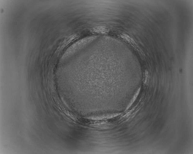 X0000065261201200603031820