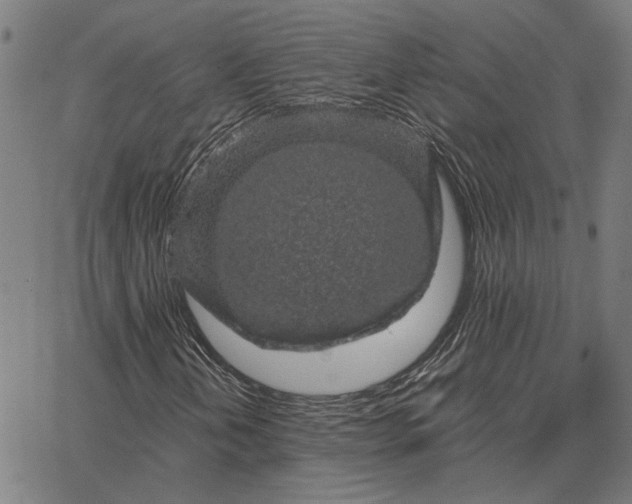 X0000065261202200603031820