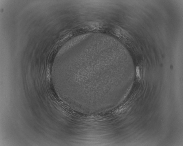 X0000065261203200603031820