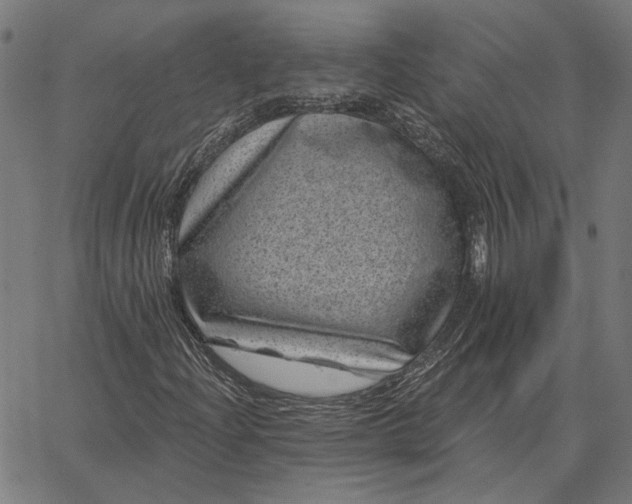 X0000065261204200603031820