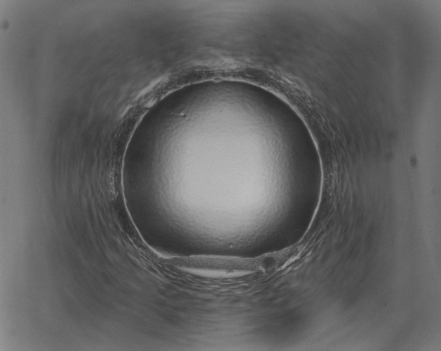 X0000065261205200603031820