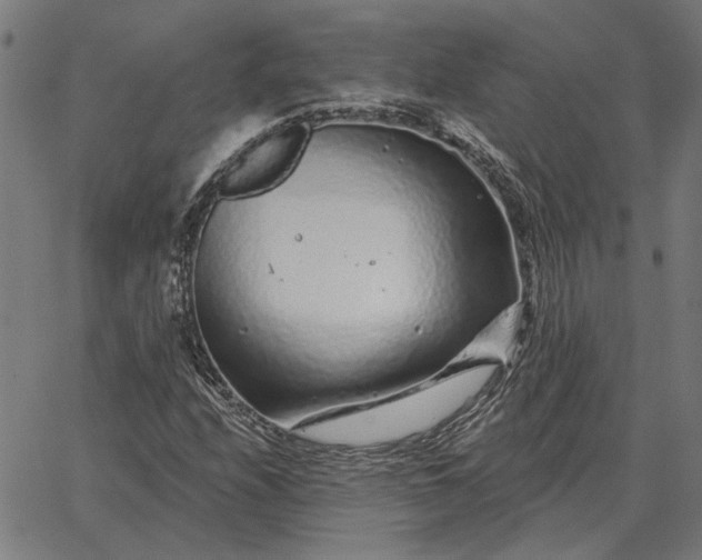 X0000065261208200603031820