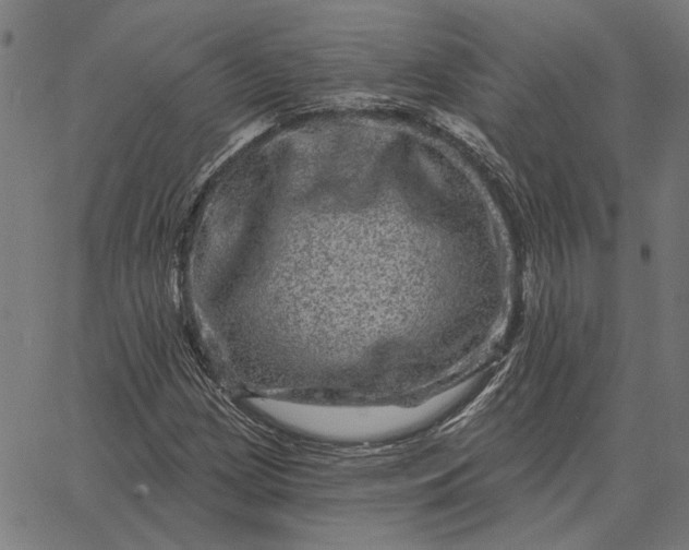 X0000065261209200603031820