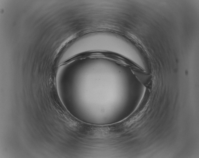 X0000065261210200603031820