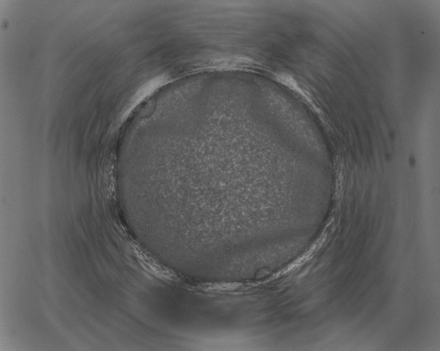 X0000065261211200603031820