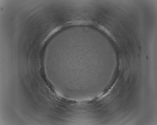 X0000065261213200603031820