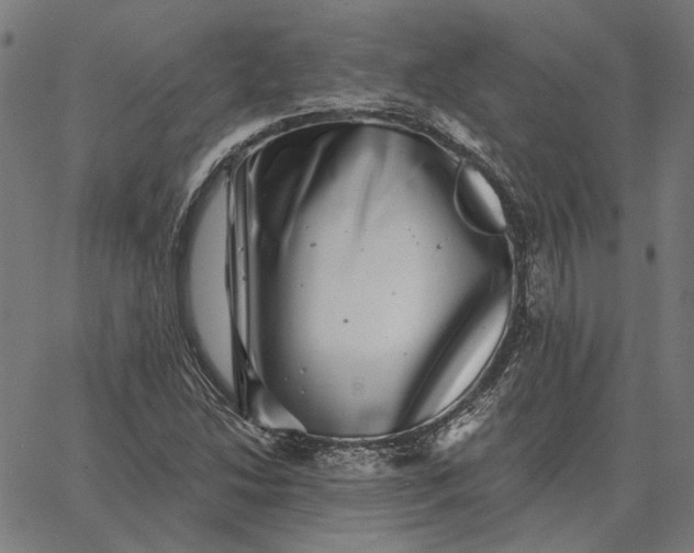 X0000065261214200603031820