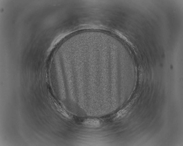 X0000065261215200603031820