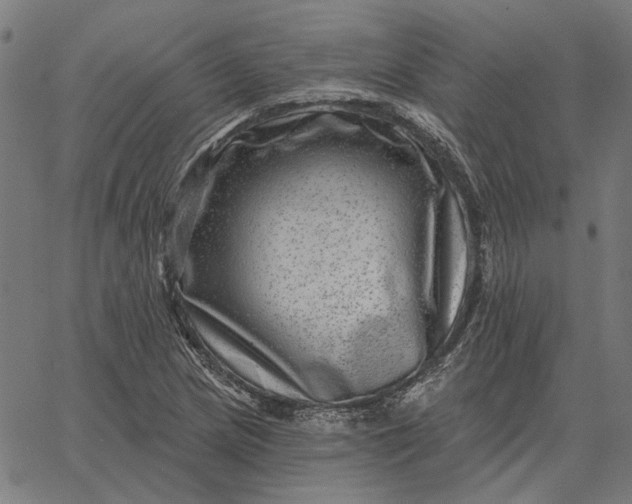 X0000065261217200603031820