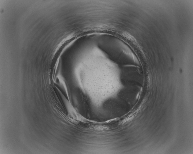 X0000065261218200603031820